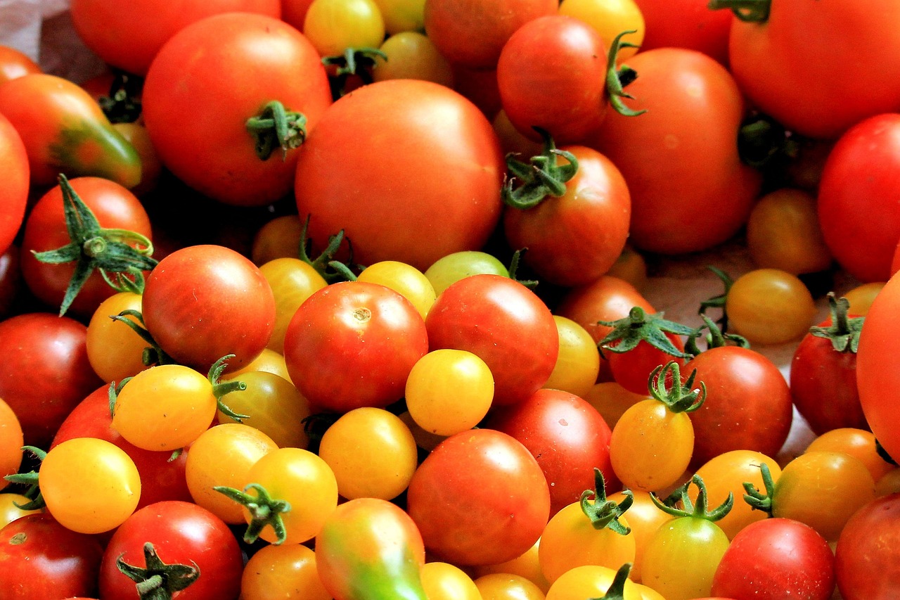 tomatoes-1569280_1280